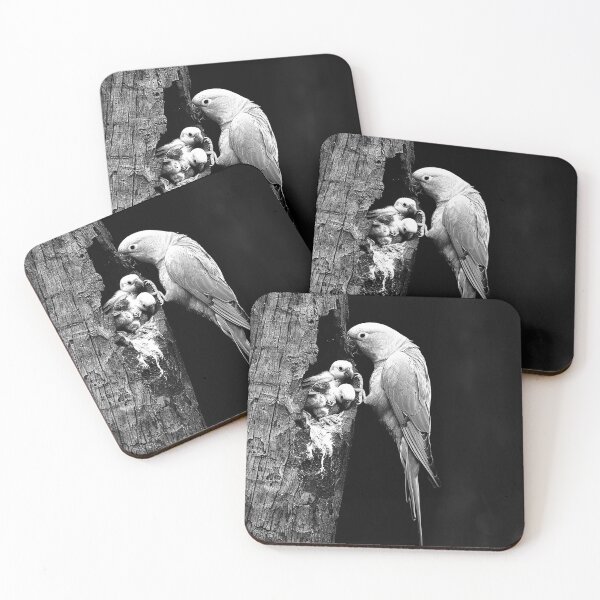 Item preview, Parrot Family Tree Nest Tropical Bird Wildlife Art designed and sold by inkoutninja.