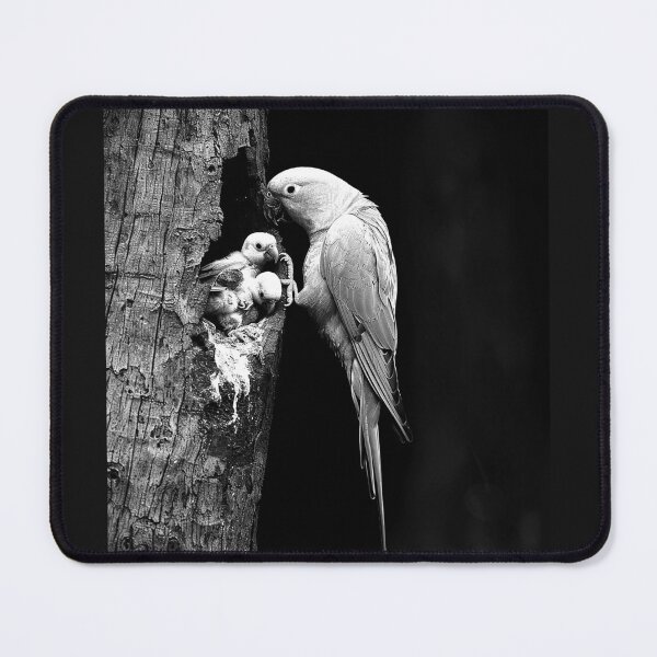 Item preview, Parrot Family Tree Nest Tropical Bird Wildlife Art designed and sold by inkoutninja.