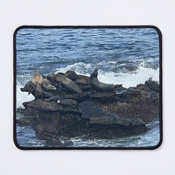 Item preview, Seal Cove designed and sold by TurtlesPhotoCo.