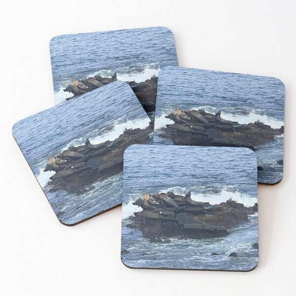 Item preview, Seal Cove designed and sold by GoobsPhotoCo.