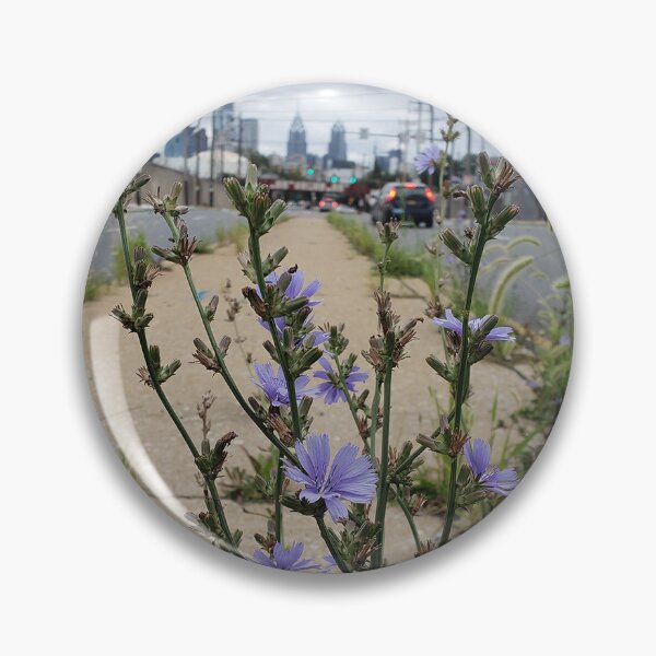Item preview, Chicory and Philadelphia Skyline from Grays Ferry Avenue 2 designed and sold by concretebotany.