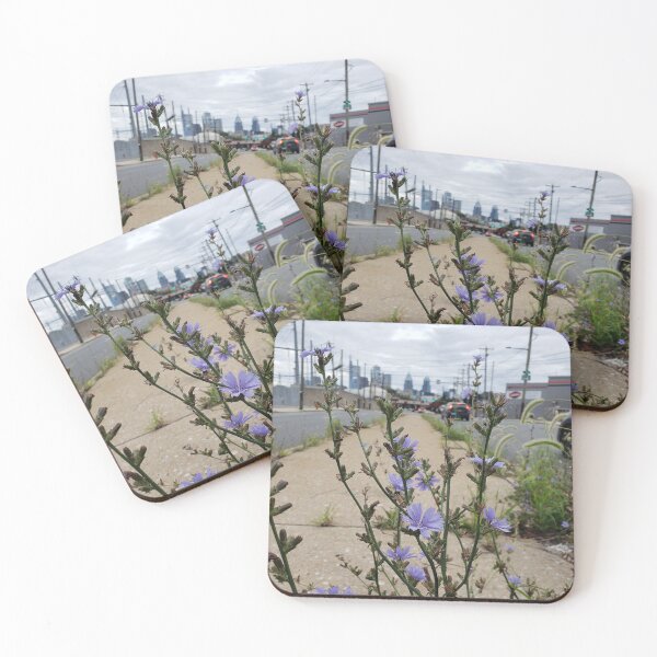 Item preview, Chicory and Philadelphia Skyline from Grays Ferry Avenue 2 designed and sold by concretebotany.