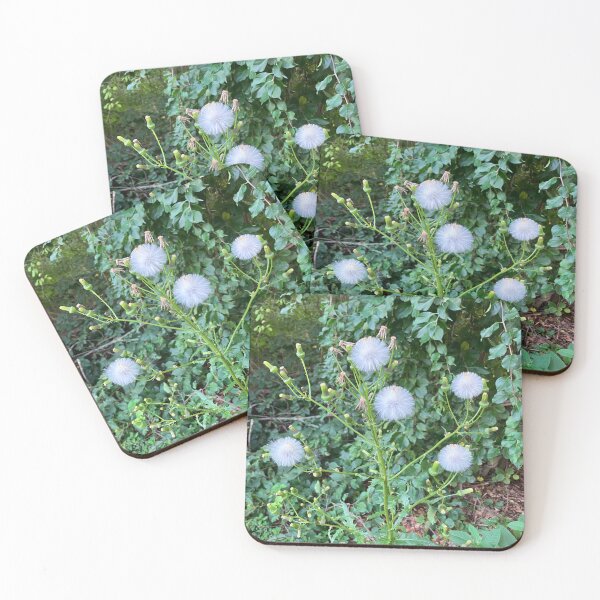 Item preview, Ragwort  designed and sold by Amanda1775.