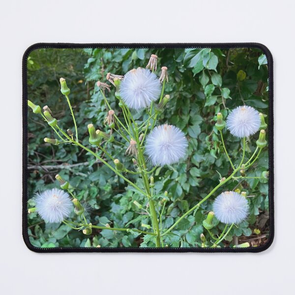 Item preview, Ragwort designed and sold by Amanda1775.