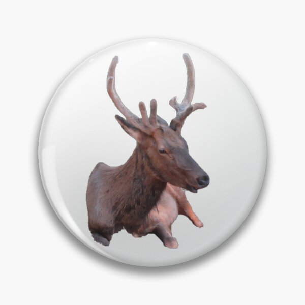 Item preview, Elk designed and sold by GoobsPhotoCo.
