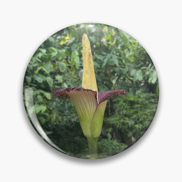 Item preview, Corpse Flower designed and sold by GoobsPhotoCo.