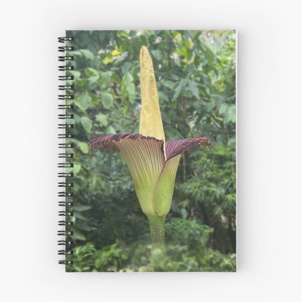 Item preview, Corpse Flower designed and sold by GoobsPhotoCo.