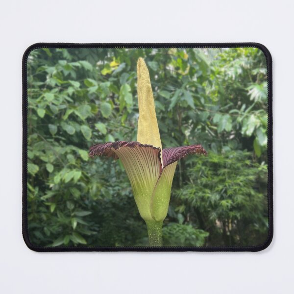 Item preview, Corpse Flower designed and sold by GoobsPhotoCo.