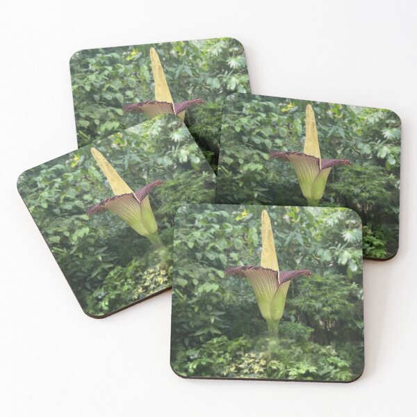 Item preview, Corpse Flower designed and sold by GoobsPhotoCo.