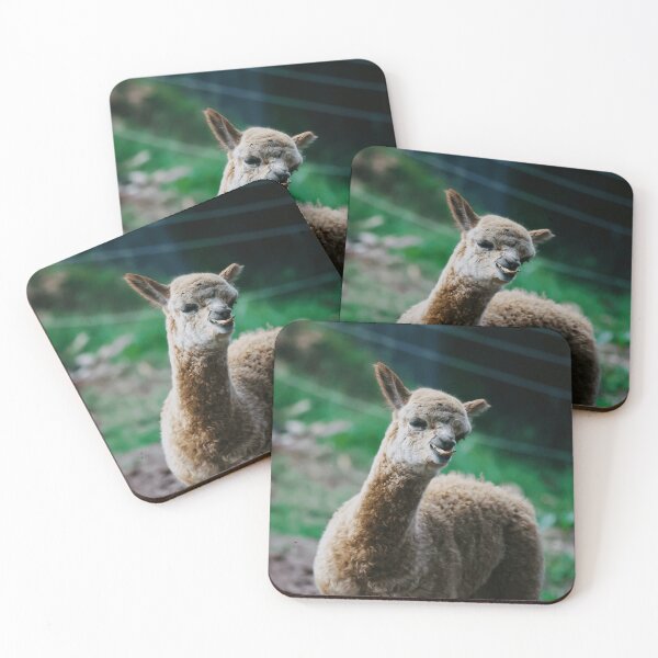 Item preview, Alpaca Lover Farm Animal Enthusiast designed and sold by MeoBan87Photo.