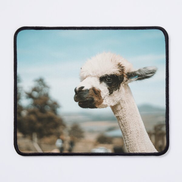 Item preview, Cute Alpaca Animal Lover Gift Idea designed and sold by MeoBan87Photo.