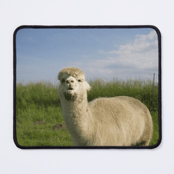 Item preview, Alpaca Lover Cute Fluffy Farm Animal Pet designed and sold by MeoBan87Photo.