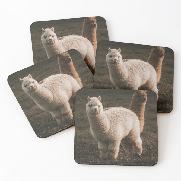 Item preview, Cute Fluffy Alpaca Farm Animal Lover designed and sold by MeoBan87Photo.