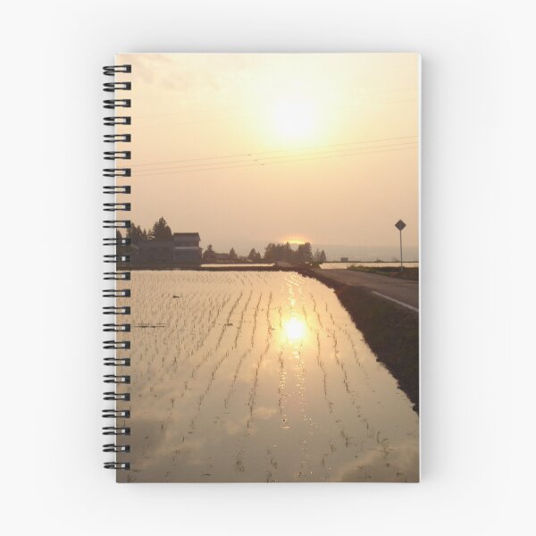 Item preview, Rice Field Sunset — Ordinary Japan designed and sold by ORDINARYJAPAN.