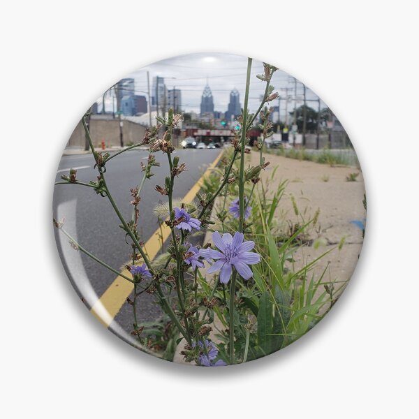 Item preview, Chicory and Philadelphia Skyline from Grays Ferry Avenue 3 designed and sold by concretebotany.