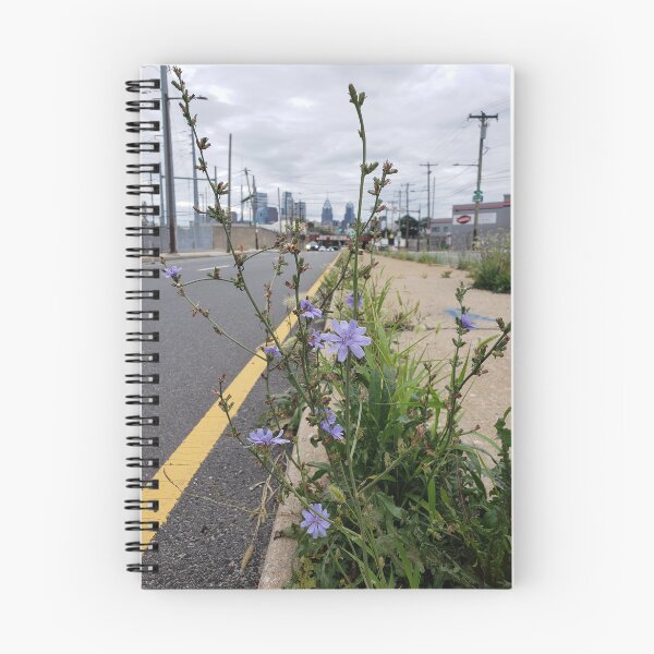 Item preview, Chicory and Philadelphia Skyline from Grays Ferry Avenue 3 designed and sold by concretebotany.