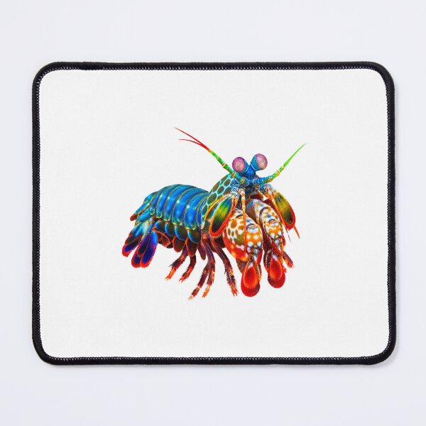 Item preview, Peacock Mantis Shrimp – Vivid Reef Portrait designed and sold by Helt-enkelt.
