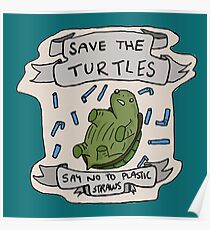 Save turtles essay image