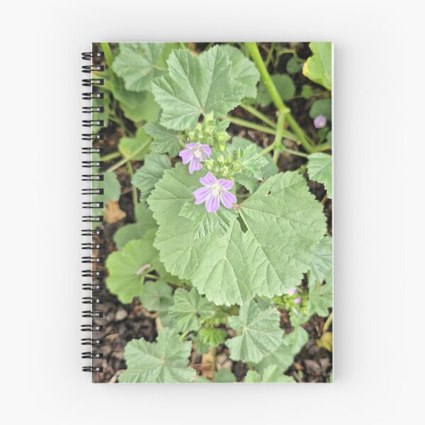Item preview, common mallow designed and sold by Lunar-Dragon.
