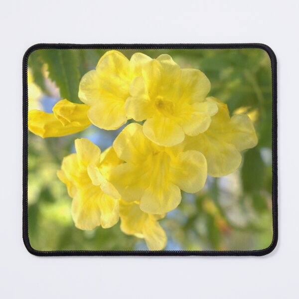 Item preview, Pretty Yellow Flowers at Jerry's Nugget designed and sold by MangoSeeds2.