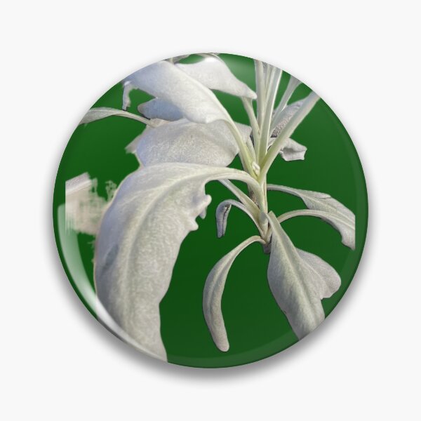 Item preview, 888 Sage designed and sold by Warehouse888.
