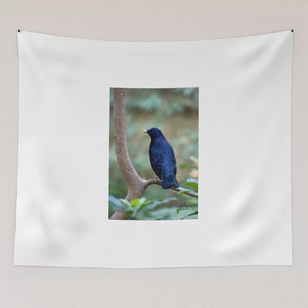 Item preview, Satin Bowerbird designed and sold by GP1746.