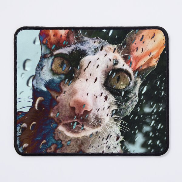 Item preview, Rainy Window Cornish Rex Cat designed and sold by Claws With Paws.