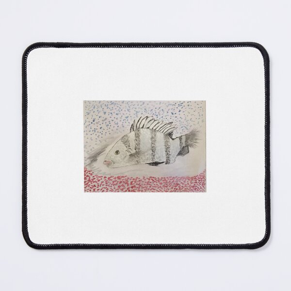 Item preview, Sheepshead Watercolor Art designed and sold by BirdandaBrush.