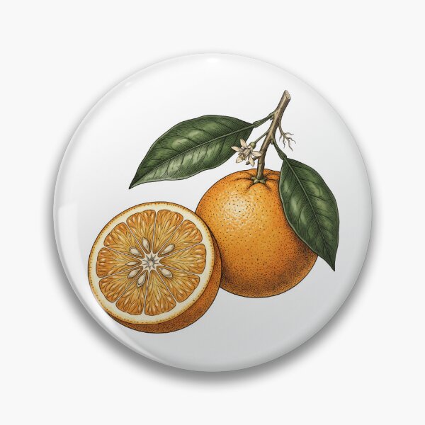 Item preview, Vintage Orange Slice Botanical Illustration designed and sold by seven things shop.