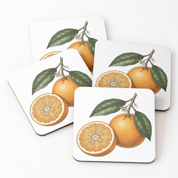 Item preview, Vintage Orange Slice Botanical Illustration designed and sold by seven things shop.