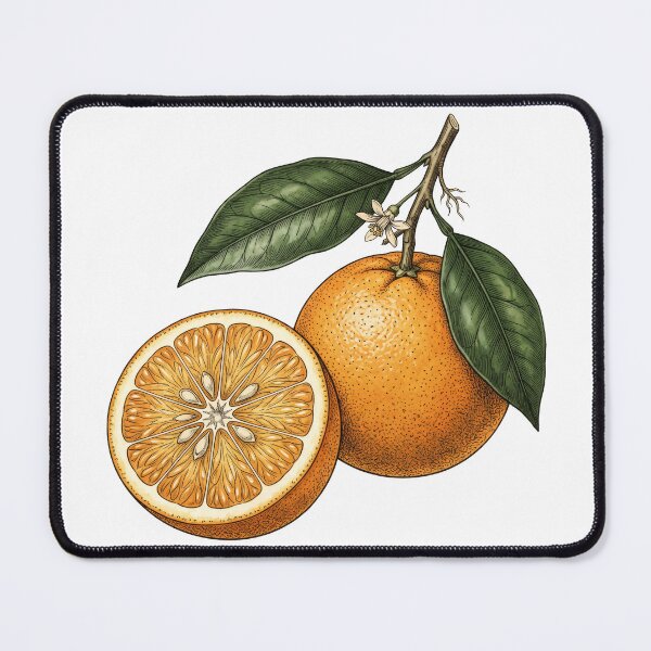Item preview, Vintage Orange Slice Botanical Illustration designed and sold by seven things shop.