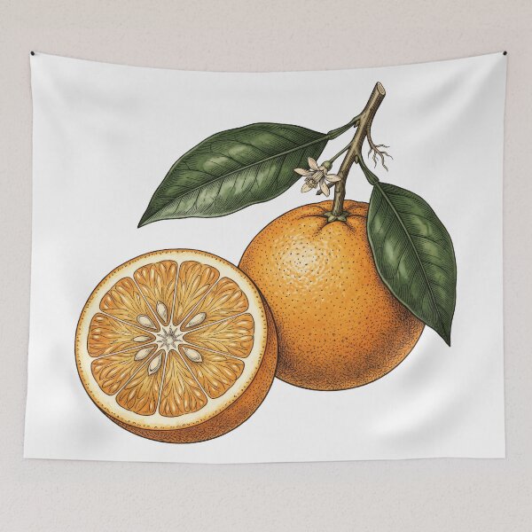 Item preview, Vintage Orange Slice Botanical Illustration designed and sold by seven things shop.