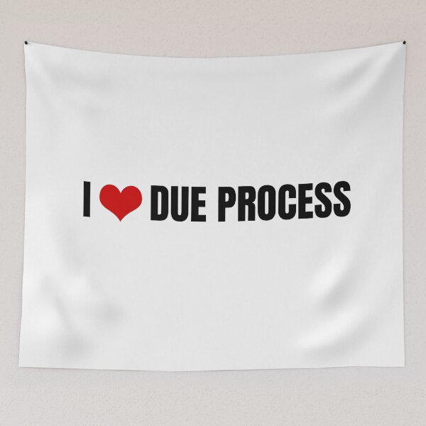 Item preview, I love due process designed and sold by Dondonmart.