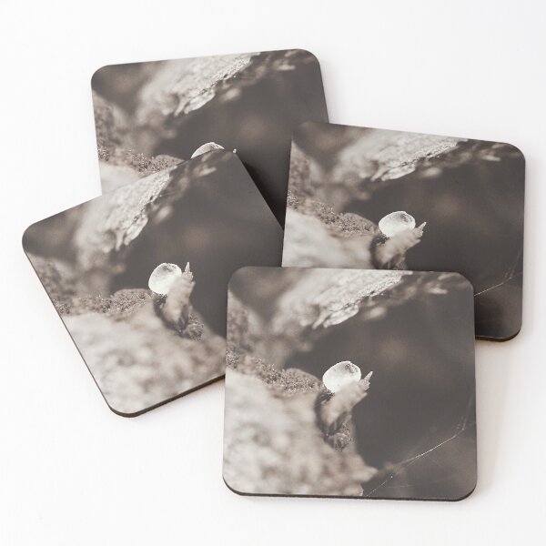 Item preview, Macro  designed and sold by Jodie Cooper.
