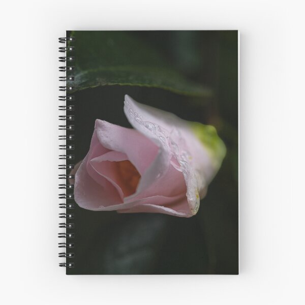 Item preview, Dew-Kissed Flower Petals designed and sold by Twisted Light Images.