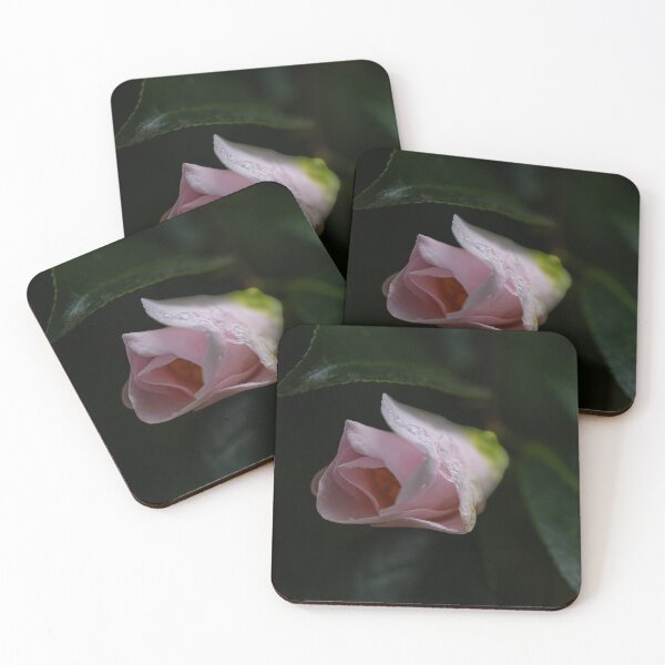 Item preview, Dew-Kissed Flower Petals designed and sold by Twisted Light Images.