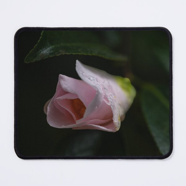 Item preview, Dew-Kissed Flower Petals designed and sold by Twisted Light Images.