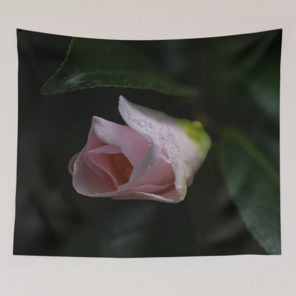 Item preview, Dew-Kissed Flower Petals designed and sold by Twisted Light Images.