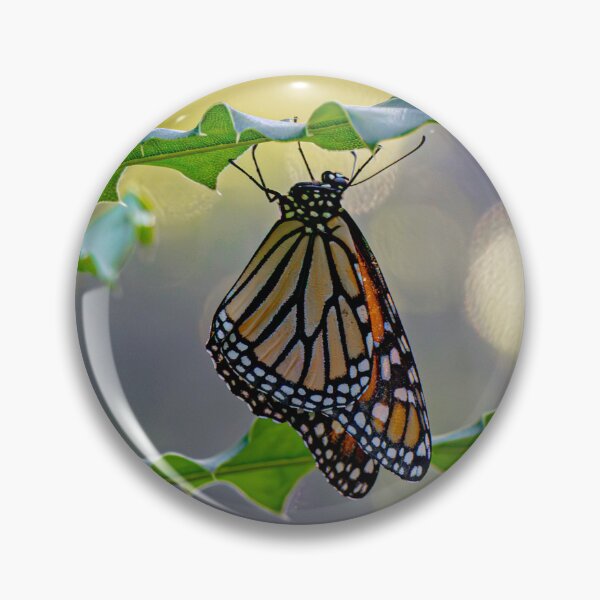 Item preview, Butterfly Suspended in Light designed and sold by Twisted Light Images.