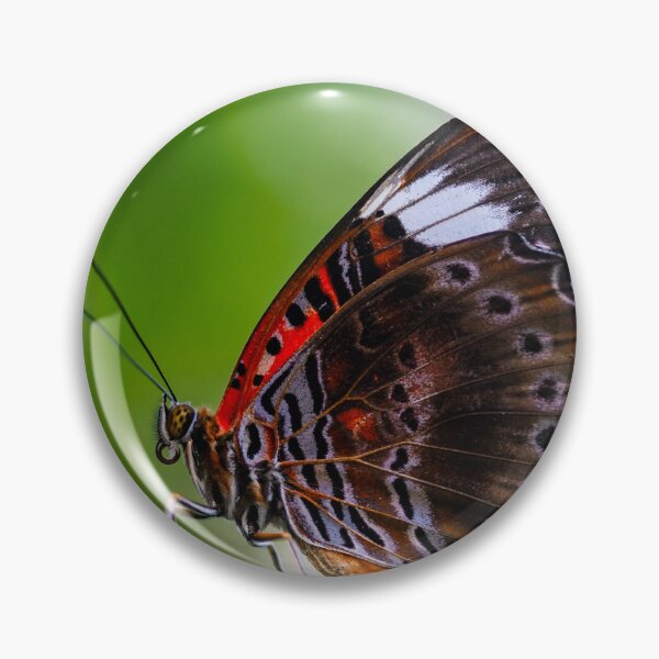 Item preview, Butterfly Wings with an Intricate Edge designed and sold by Twisted Light Images.