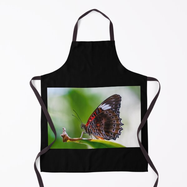 Item preview, Butterfly Wings with an Intricate Edge designed and sold by Twisted Light Images.