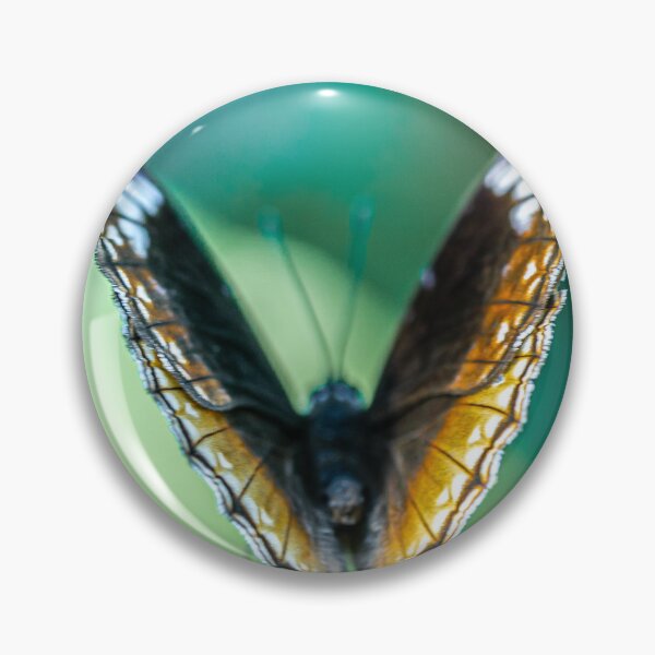 Item preview, Butterfly with Sunlit Wings designed and sold by Twisted Light Images.