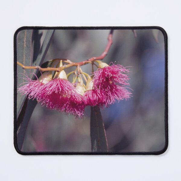 Item preview, Eucalyptus Flower Elegance designed and sold by Twisted Light Images.