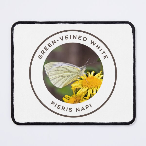 Item preview, Green-veined White - Pieris napi designed and sold by KM Wong Photography.