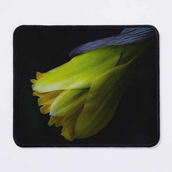 Item preview, Daffodil in Spring’s First Whisper designed and sold by Twisted Light Images.