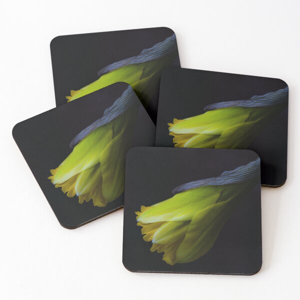 Item preview, Daffodil in Spring’s First Whisper designed and sold by Twisted Light Images.