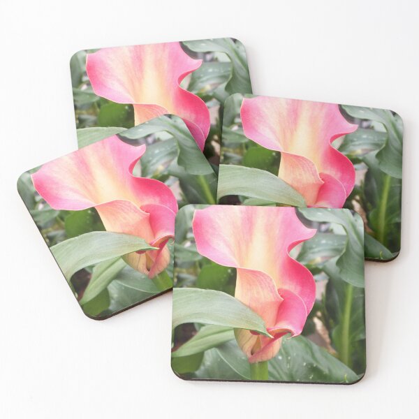 Item preview, Vibrant Pink Calla Lily Flower designed and sold by pinkal.