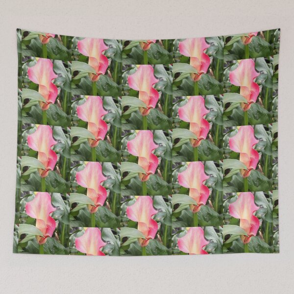 Item preview, Vibrant Pink Calla Lily Flower designed and sold by pinkal.
