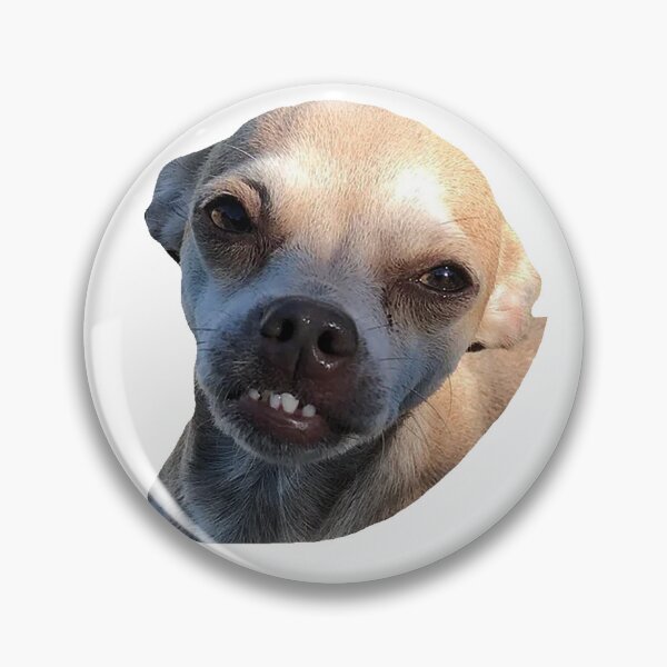 Item preview, judgmental dog designed and sold by MamaHome.