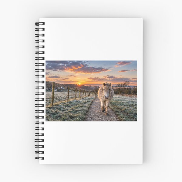 Item preview, Lonely horse at sunrise Ogmore by sea designed and sold by Jinxyboy1908.